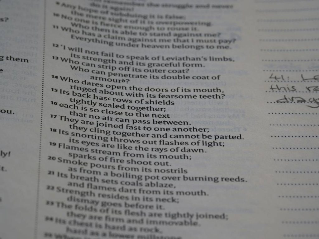 close up, bokeh, macro, blur, blurred background, close focus, bible, old testament, hebrew bible, christian, judaism, history, text, reading, bible study, devotions, text, NIV, New International Version, type, typography, canon, christianity, holy scripture, holy bible, scripture, old testament, hebrew bible, tanakh, ketuvim, book of job, job, אִיּוֹב, theodicy, satan, the accuser, הַשָּׂטָן,