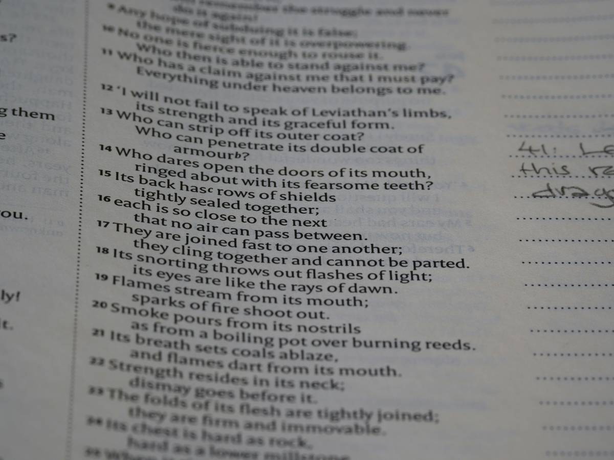 close up, bokeh, macro, blur, blurred background, close focus, bible, old testament, hebrew bible, christian, judaism, history, text, reading, bible study, devotions, text, NIV, New International Version, type, typography, canon, christianity, holy scripture, holy bible, scripture, old testament, hebrew bible, tanakh, ketuvim, book of job, job, אִיּוֹב, theodicy, satan, the accuser, הַשָּׂטָן,